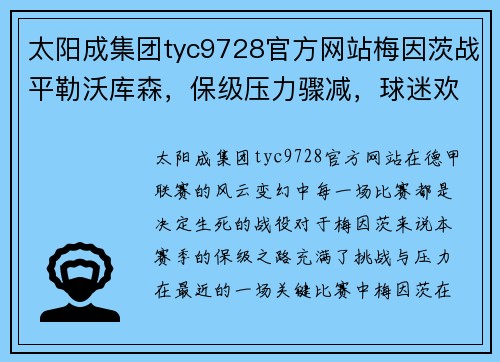 太阳成集团tyc9728官方网站梅因茨战平勒沃库森，保级压力骤减，球迷欢欣雀跃