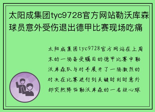 太阳成集团tyc9728官方网站勒沃库森球员意外受伤退出德甲比赛现场吃痛！ - 副本