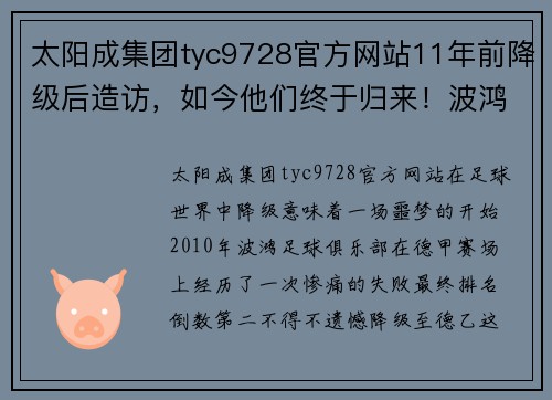 太阳成集团tyc9728官方网站11年前降级后造访，如今他们终于归来！波鸿在德乙的11年蜕变之旅 - 副本 (2)