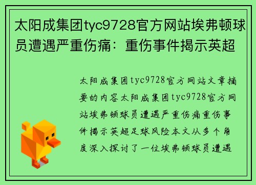 太阳成集团tyc9728官方网站埃弗顿球员遭遇严重伤痛：重伤事件揭示英超足球风险